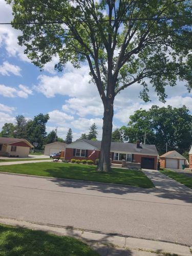 All Photos for Carpenter's Tree Service in Aurora, IN