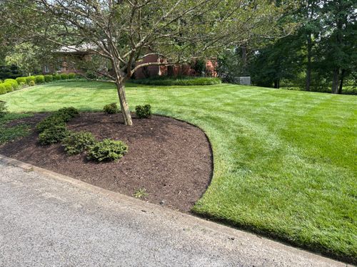 Mowing for Bailey’s Lawn Care & Dirt Service in Murray, KY