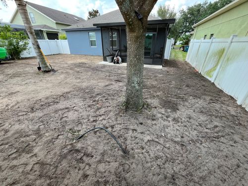 Tree Services for Ludlows Services in Davenport, FL