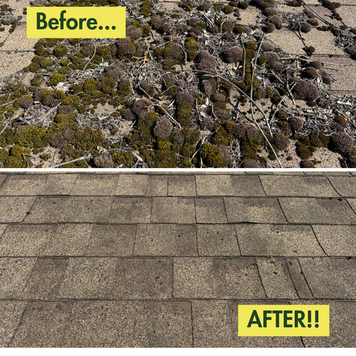 All Photos for Swift Serve in Coeur d'Alene, ID