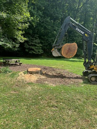 All Photos for Ramirez Tree Care in Elkin, NC