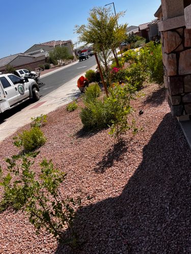  for AZ Tree & Hardscape Co in Surprise, AZ