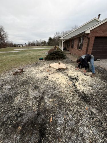  for Anstaetts Tree Service in Batavia, OH