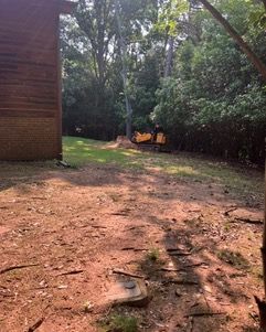  for Cisco Kid Tree Service LLC in Charlotte, North Carolina
