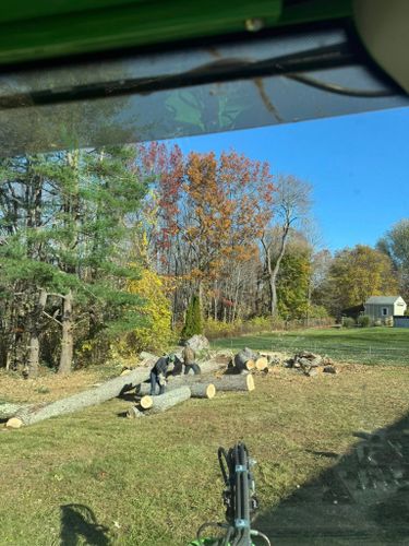 Tree Removal for DC TREE in Vernon, CT