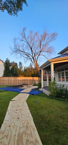  for Servin's Tree Care  in Houston, TX
