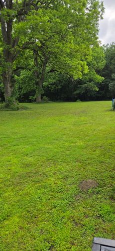 Mowing for Fresh Cut Yard & Lawn Care LLC in Forsyth, GA