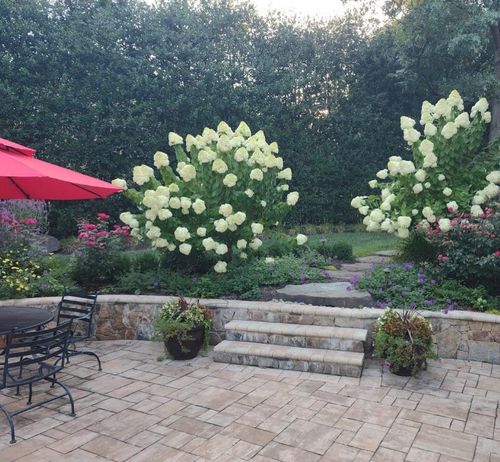 M&M Professional Landscaping for Offering professional solutions for every aspect of your home. in Sterling, VA