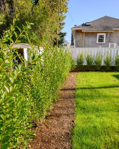 Landscape Maintenance for Pungitore Landscapes, Irrigation & Fertilizer in Hingham, MA