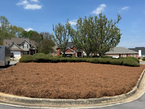 All Photos for Myles Mows in Augusta, GA