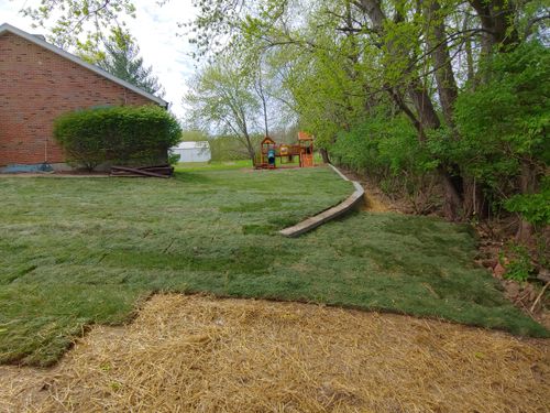 Sod Installation for VQ Land & Stone in St. Louis, MO