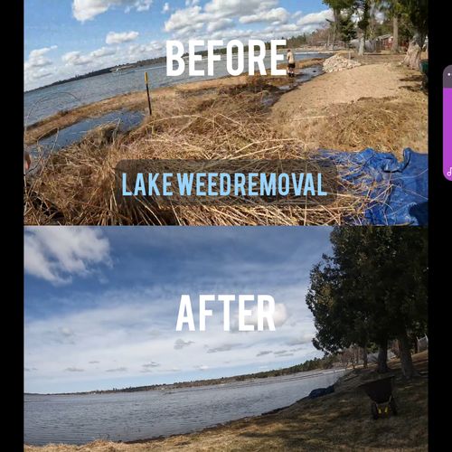 Weed Removal for JT’s Underwater Landscaping in Brainerd, MN