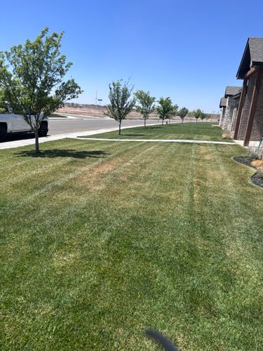 Lawn Maintenance for Marple Services in Amarillo, TX