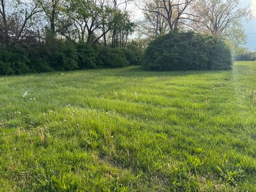  for A1 Bush Hogging & Lawn Service in Columbus, OH