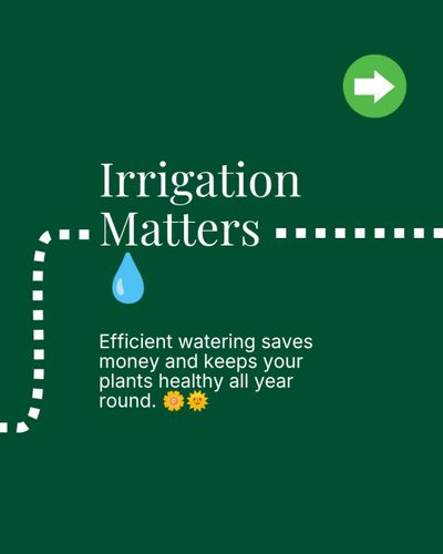 Tree Services for Ludlows Services in Clermont, FL