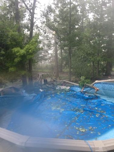 Emergency Tree Removal for Down To Earth Tree Service, LLC in Olmsted Falls, OH