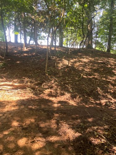 Forestry Mulching for DIRT PLUS LLC in Bowling Green, KY