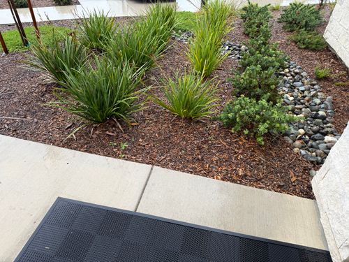 Landscape Design for Blue Water Landscape Services in Rancho Santa Fe, CA