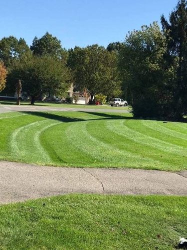  for Down To Business LLC in Howell, Michigan
