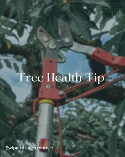  for Oakwood Tree Removal LLC in Oak Creek,  WI