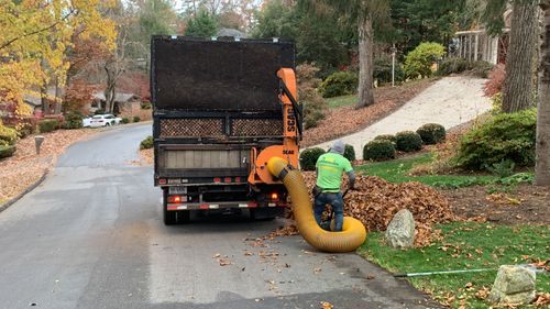 Leaf Cleanup for HG Landscape Plus in Asheville, NC