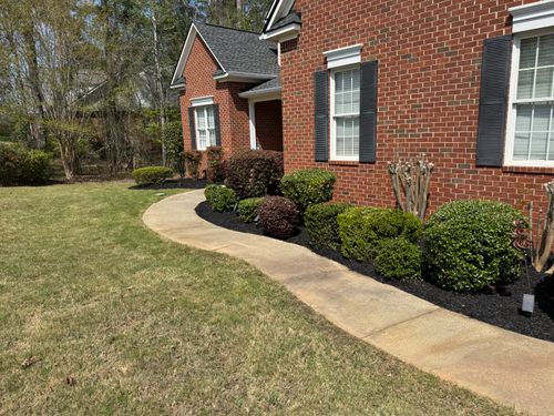 All Photos for Myles Mows in Augusta, GA