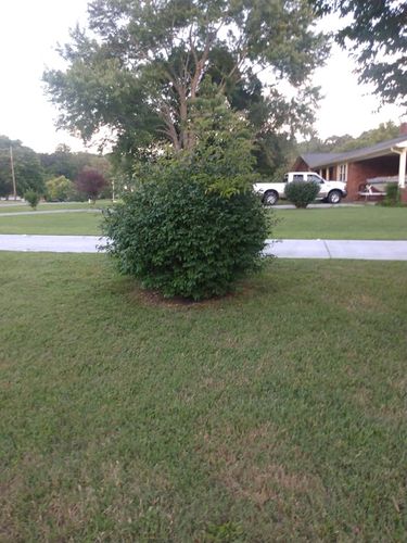  for KWL Lawn Care in Etowah, TN