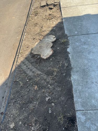 All Photos for Pro Tree Trim & Removal, Llc in Dayton, OH