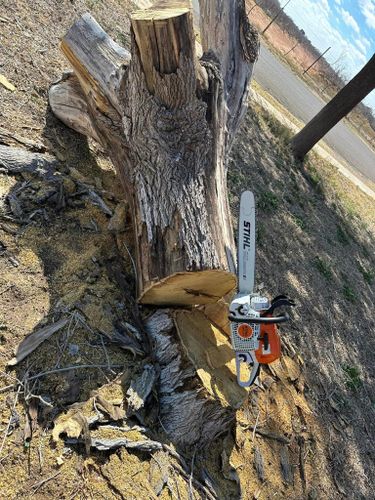 Tree Removal for Compas Cleanup in McCamey, TX