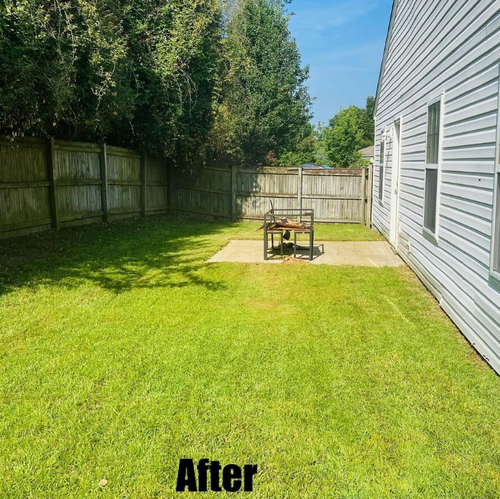  for Pink Pelican Tree Service & Landscaping in Columbia, SC