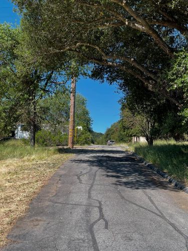 Tree Trimming for A1 Junk & Tree Solutions, LLC in Paso Robles, CA