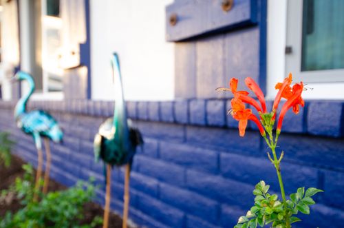 All Photos for Citiscapes, LLC in Phoenix, AZ