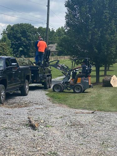 Tree Removal for JayBird Tree Service  in Goodlettsville, TN