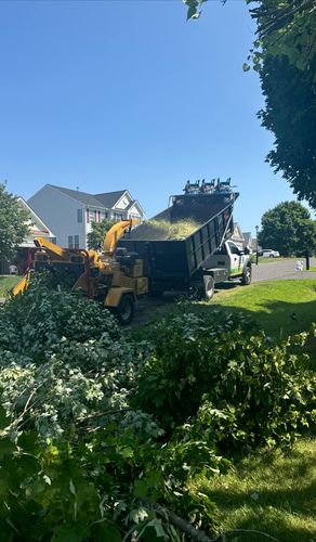  for Branch Out Tree Care LLC in Fredericksburg, VA