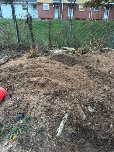Stump Removal for Jills Stump Grinding and Firewood in Shelton, CT