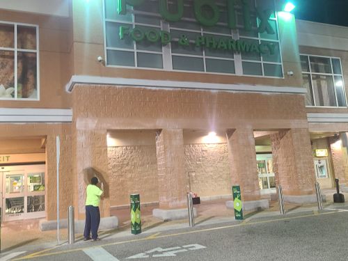  for Design Painting Plus LLC in Valrico, FL