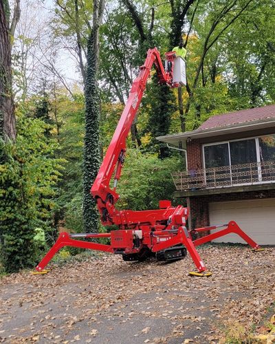 Tree Trimming for F & F Tree Service in Beavercreek, OH