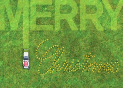 Commercial Lawn Maintenance  for 2 Brothers Landscaping in Albuquerque, NM