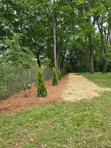 Mulch Installation for Optimum Tree Service And Landscaping in Bowling Green, KY