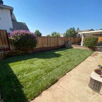 Shrub Trimming for Folsom Lake Landscaping in El Dorado Hills, CA