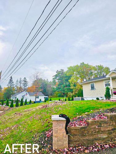 Tree Services for Blue Ribbon Tree Service in Gilford, NH