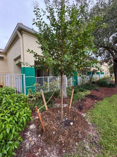 All Photos for Bridgewater Arbor Care LLC in Jupiter, FL