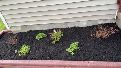 Landscaping for Gullion’s Lawn and Landscaping in DeMossville, KY