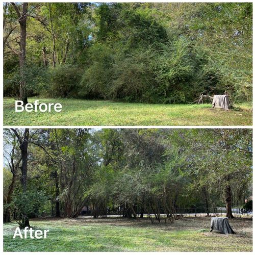 Brush Cutting and Removal for Fayette Property Solutions in Fayetteville, GA