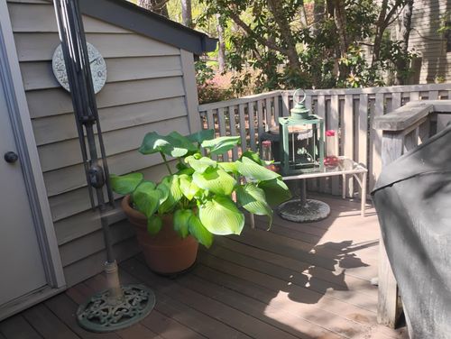Residential Cleaning for Minor Deep Cleaning Services in Durham, NC