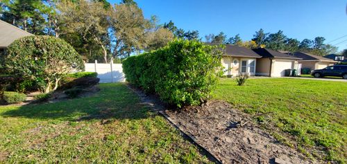All Photos for Highlife Tree Care And Landscaping in Altamonte Springs, FL