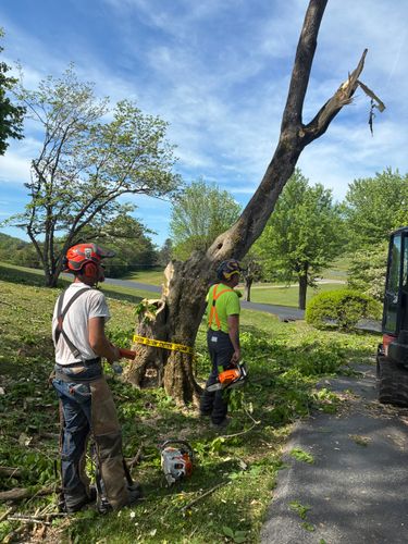  for Brocks Tree Service LLC in Rogersville, TN