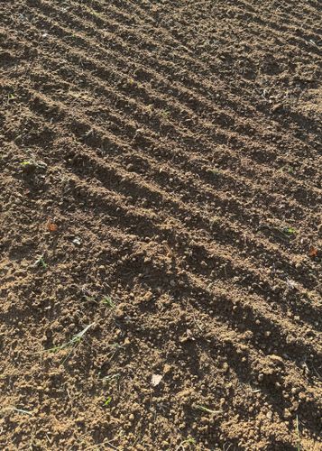 Excavation & Grading for DIRT PLUS LLC in Bowling Green, KY