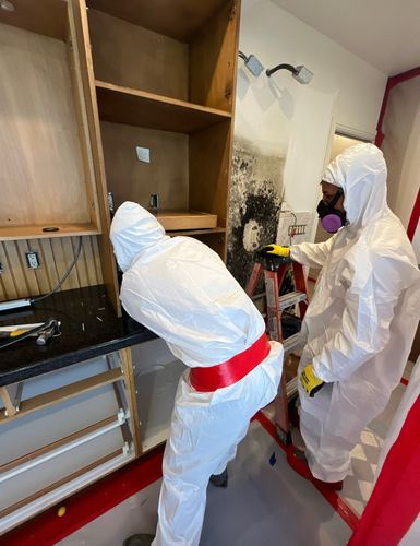Mold Remediation for ACM Environmental in Salt Lake City, UT