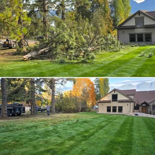 Spring/Fall Clean Up for Blue Ridge Landscape in Polson, MT